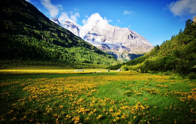 1650768137205616.png image.png