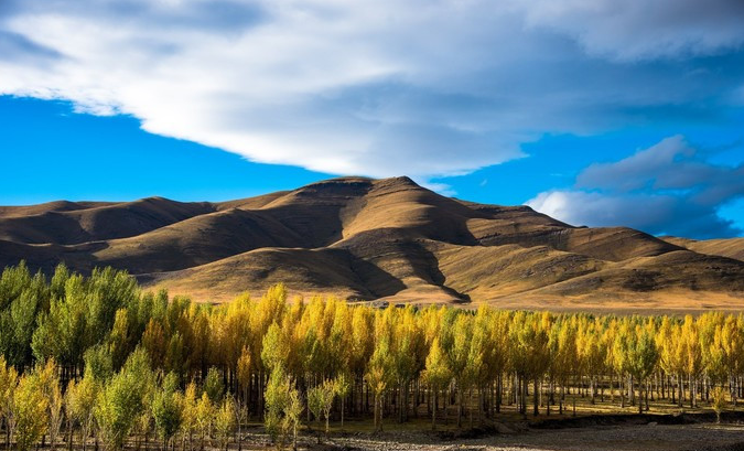 1650768105431058.png image.png