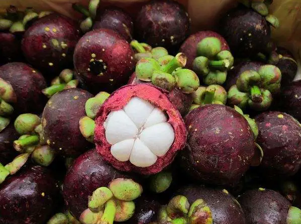 1609899775676917.png image.png