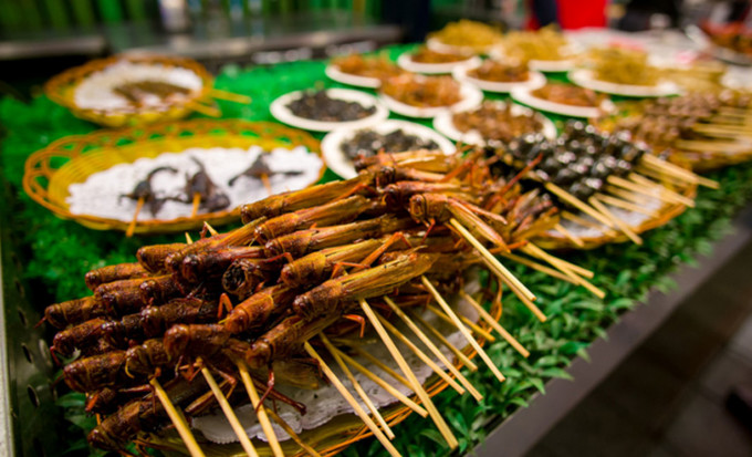 1609744576975433.jpeg wKgED1v4wluAW3__AALtRH9j9UU57.jpeg