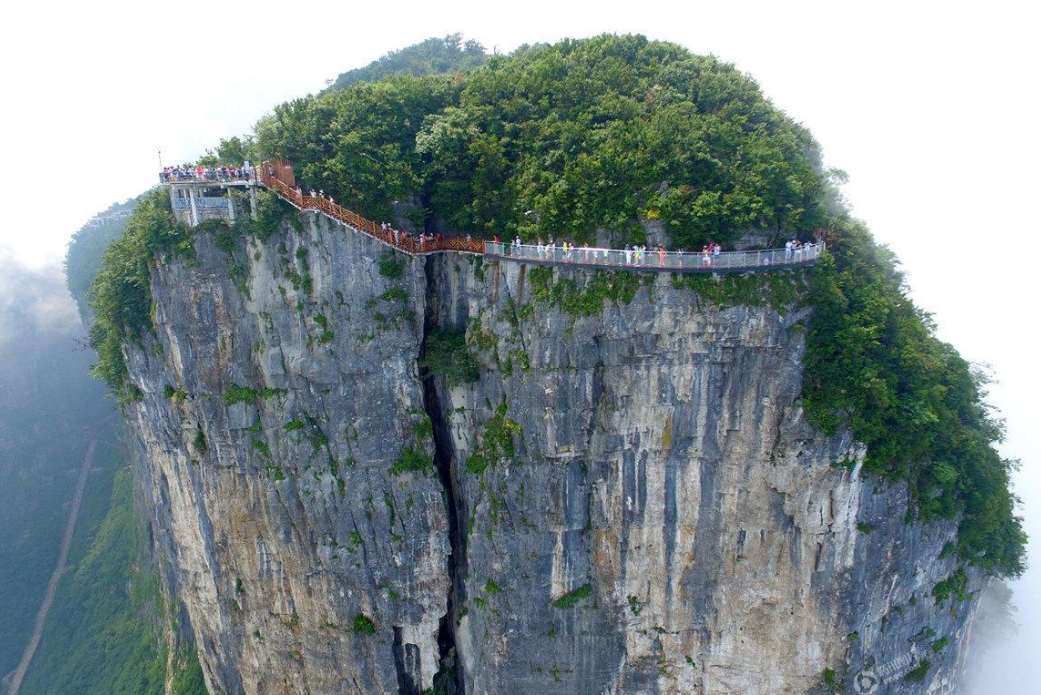 1611217503530501.png image.png