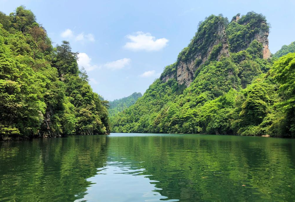 1611217603618297.png image.png