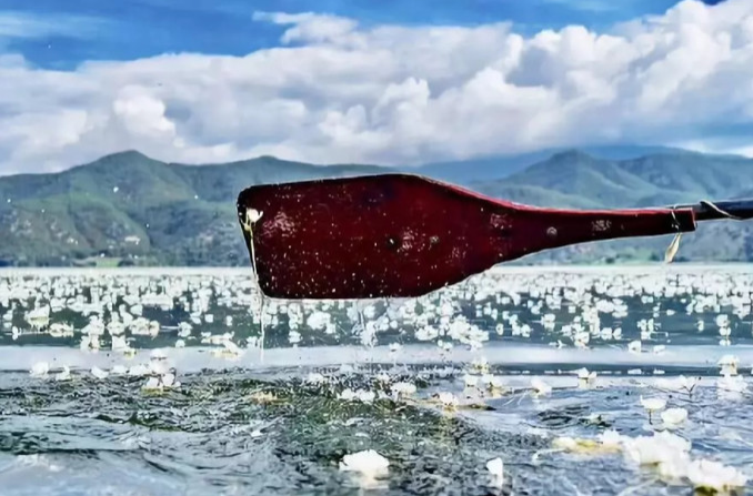 1646983802715698.png image.png