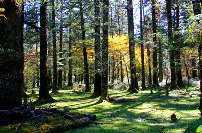 1650336942376963.png image.png