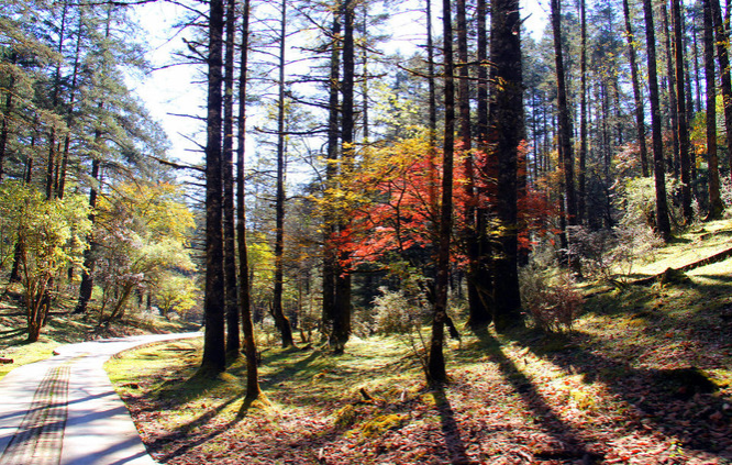 1650336955769834.png image.png