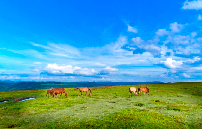 1611996780798526.png image.png