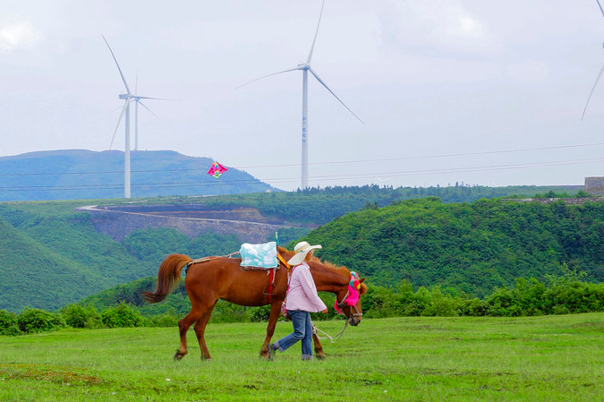 1611996807326184.png image.png