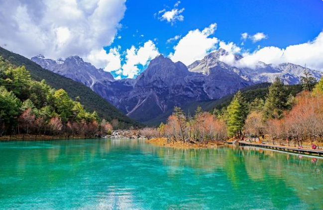 1648520749529586.png image.png