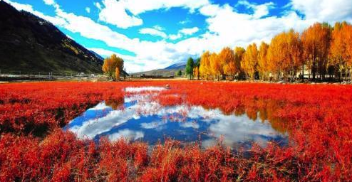 1646620920208397.png image.png