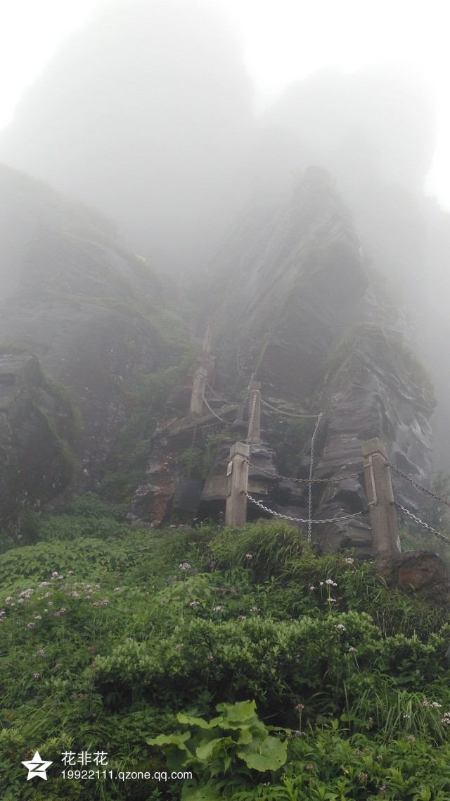 1542782099935133.jpeg wKgBs1ae8S-AeoQVAAQKVdwHt7g21.jpeg