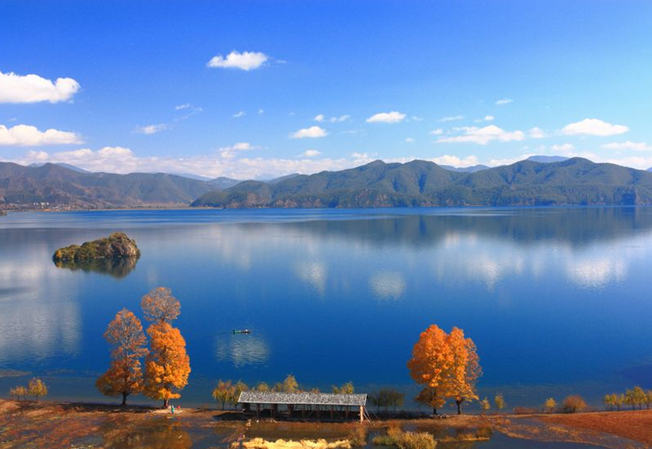 1647327185532376.png image.png