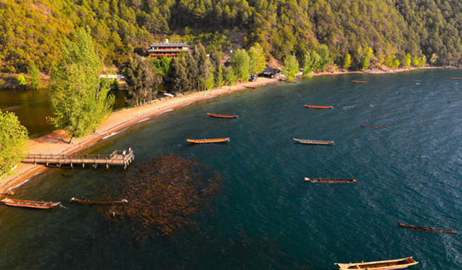 1647327236384831.png image.png