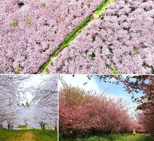 1646905355444000.png image.png