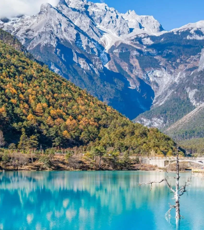 麗江古城到玉龍雪山怎么走,4種方法供你選擇