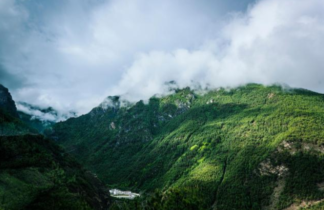 1649992376490567.png image.png