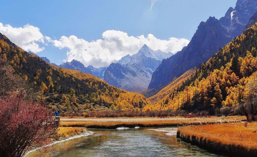 1646622466625453.png image.png