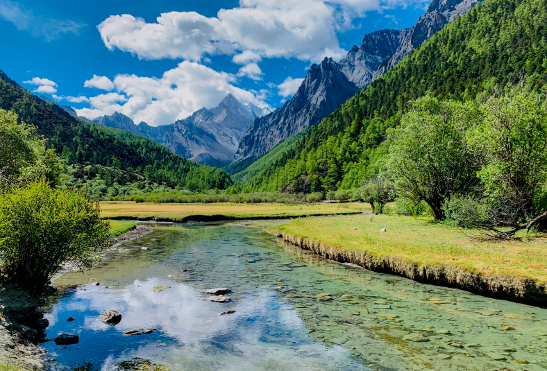 1648521546415722.png image.png