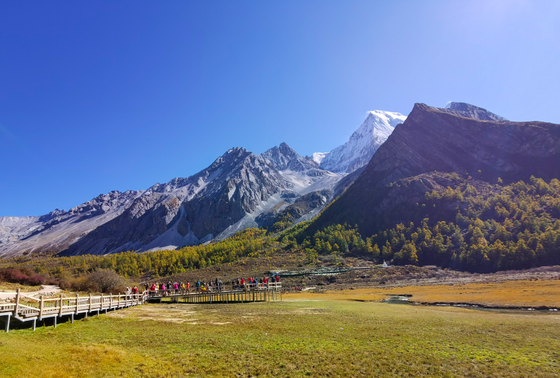 1648521559733005.png image.png