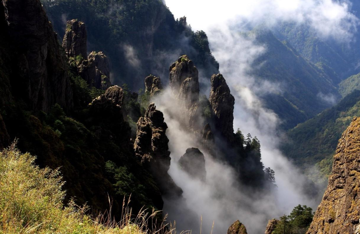 1611216022526255.png image.png