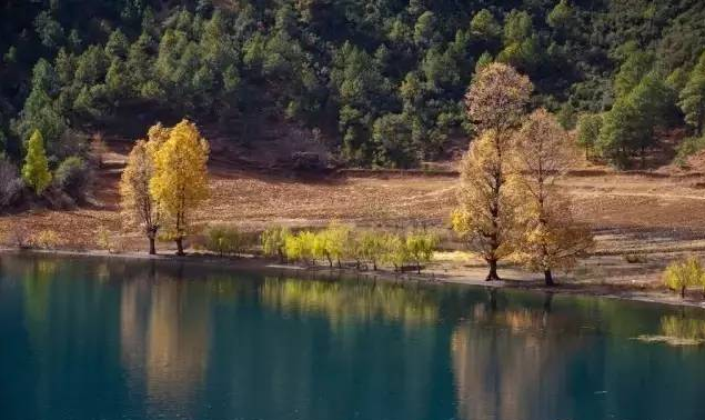 1648526352342251.png image.png