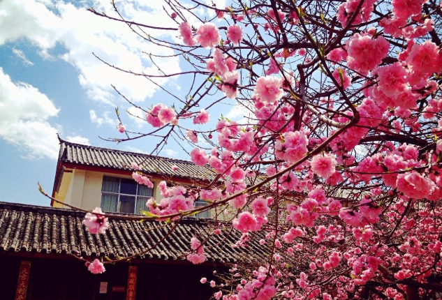 1648526319252812.png image.png