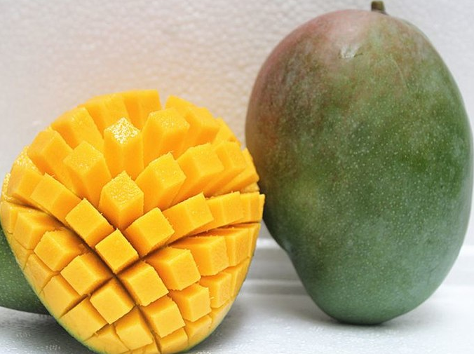 1614149313548244.png image.png