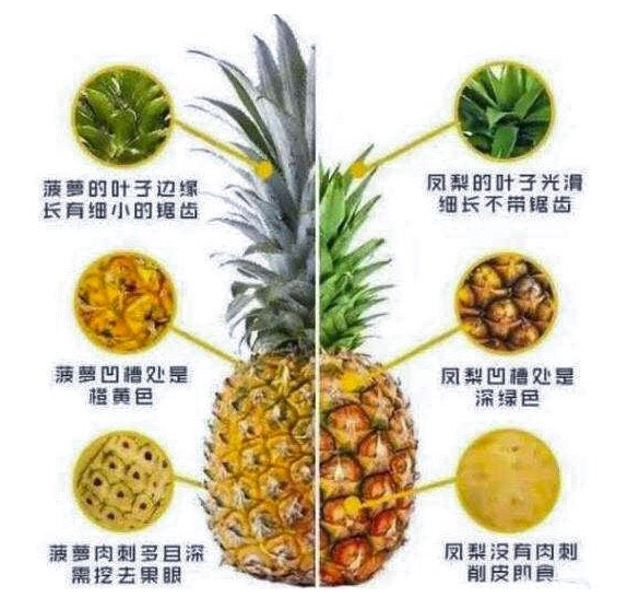 1614149338859896.png image.png