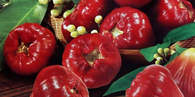 1614149368202922.png image.png