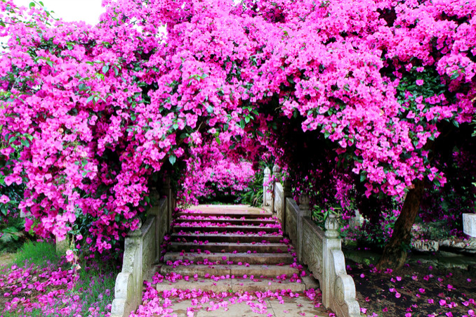 1613896284457884.png image.png