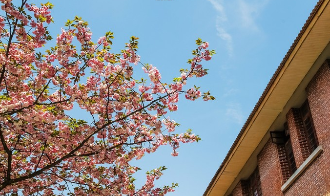 1613876685538225.png image.png