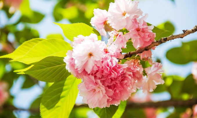 1613876707846356.png image.png