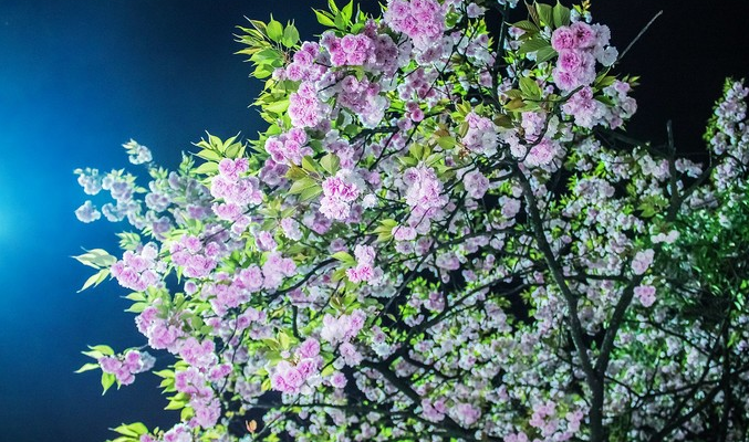 1613876750146086.png image.png