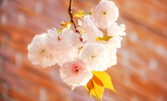 1613876781713426.png image.png