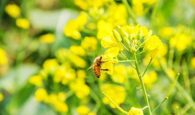 1613876810143378.png image.png