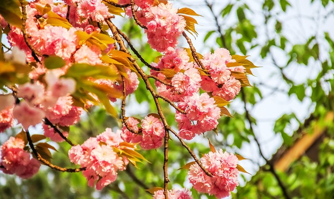 1613876860385535.png image.png