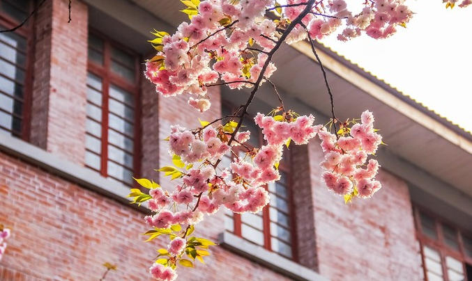 1613876823866046.png image.png