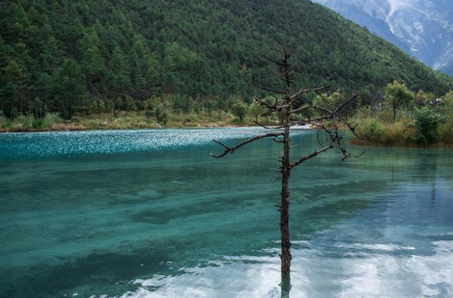 1648783619445732.png image.png