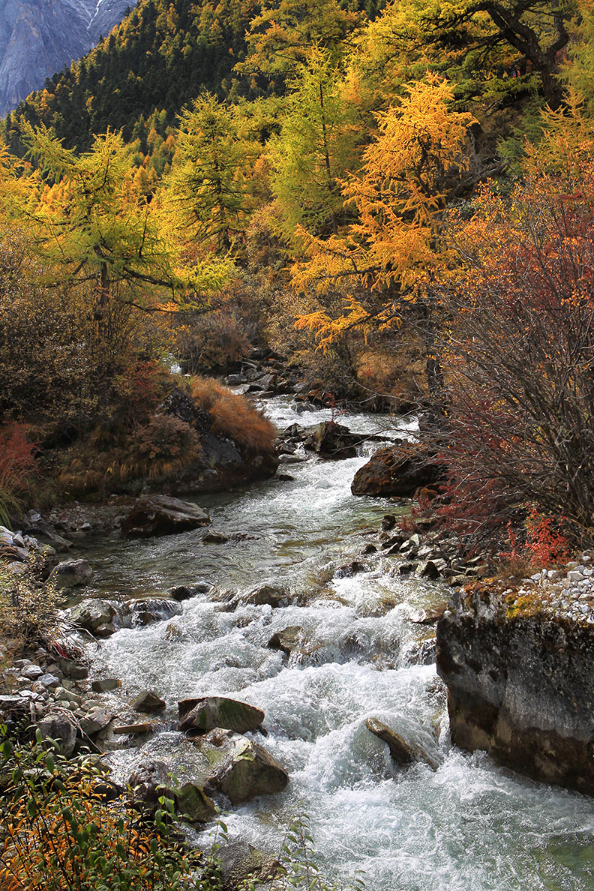 1648624672900766.png image.png