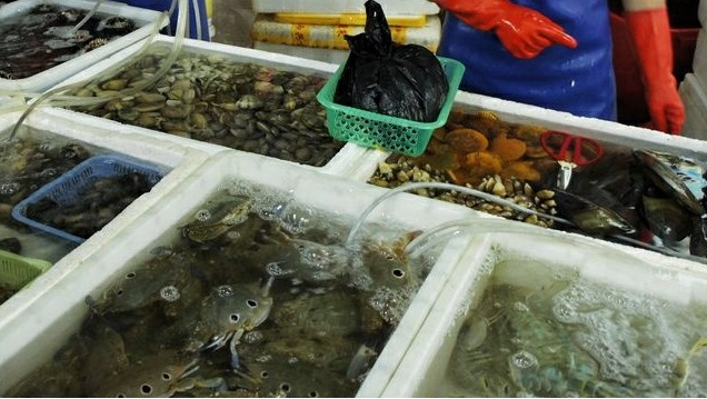 1614051188568271.png image.png