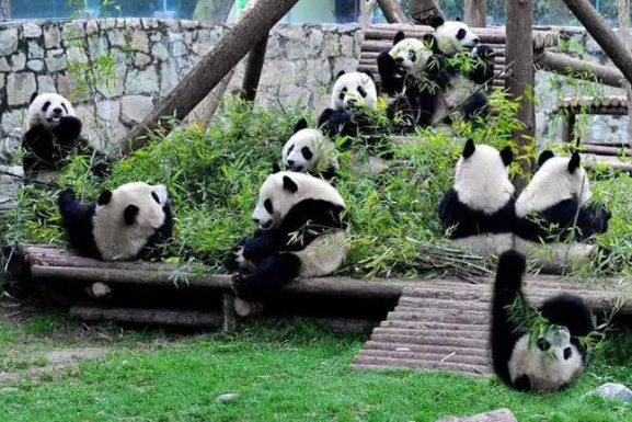 1646982261247422.png image.png