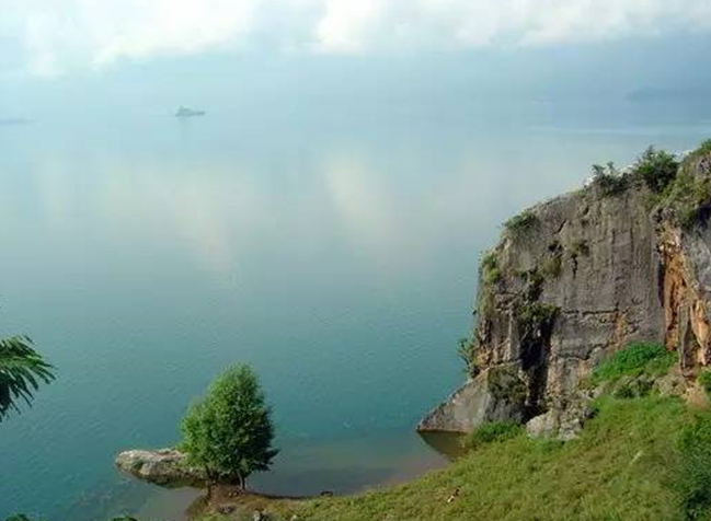 1647327224998541.png image.png