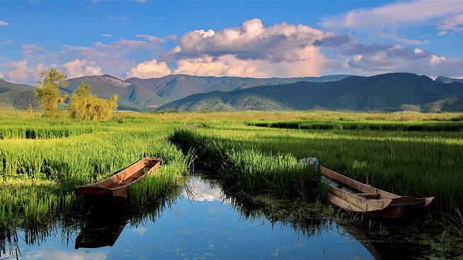 1647327275789839.png image.png