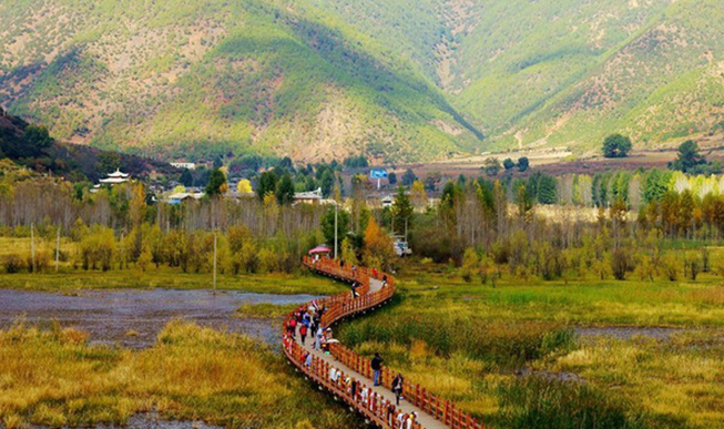 1647327318617564.png image.png