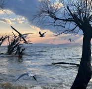 昆明旅游路線攻略!讓你少走彎路