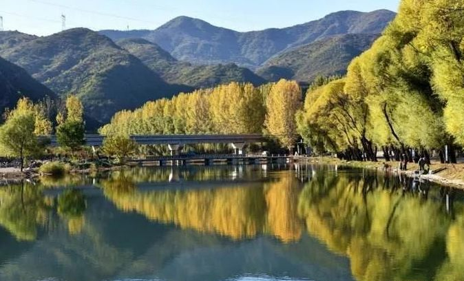 1614068520133210.png image.png