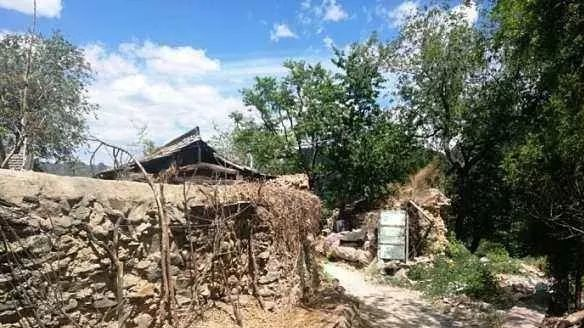 1614069046829319.png image.png