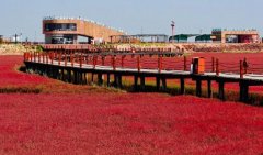盤錦火車站打車到紅海灘多少錢,盤錦站到紅海灘打車價格