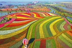 鹽城火車站到荷蘭花海怎么走?可乘坐客車到達!